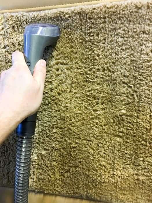 spot clean carpet and floor mats