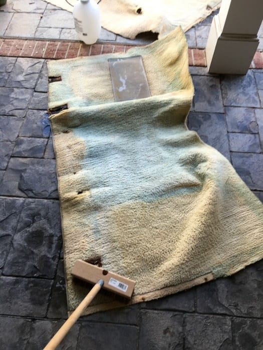 Power Wash Carpet and Rugs