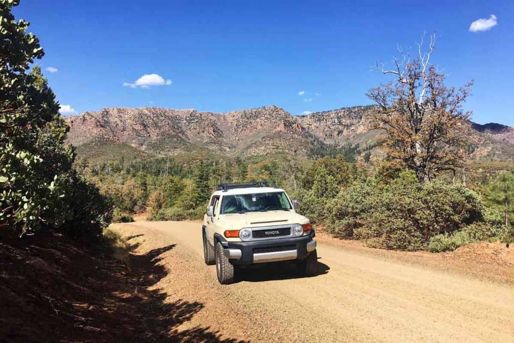 What Are the Pros and Cons of Owning a Toyota FJ Cruiser?