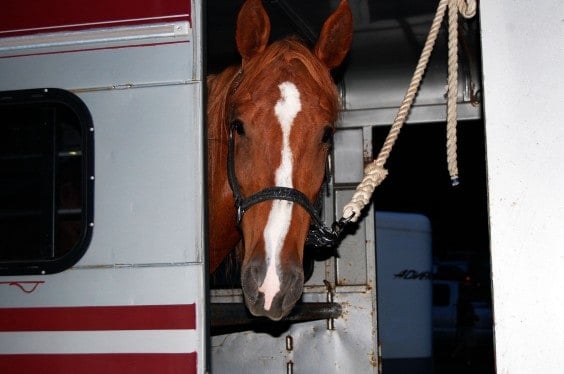 Can a Jeep Wrangler Tow A Horse Trailer?