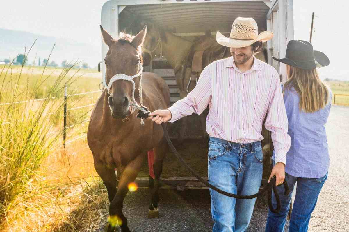 What Are The Best SUVs For Towing Horse Trailers?