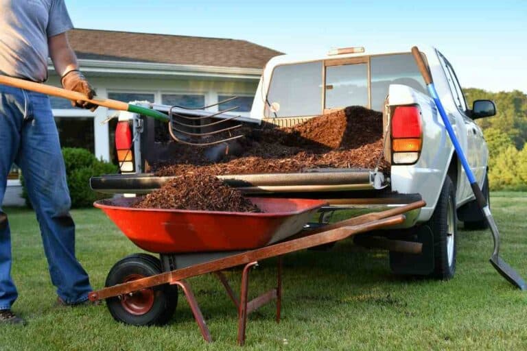 How Much Weight Can I Put in The Bed of My Truck?
