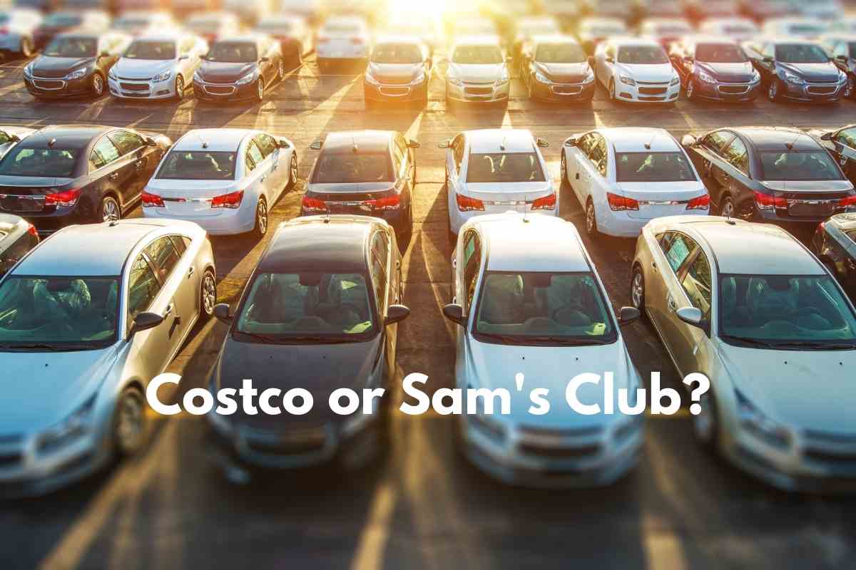 Image for Sam's Club Auto Buying Program vs Costco: which one is better? The image shows many cars in a parking lot, waiting to be sold

