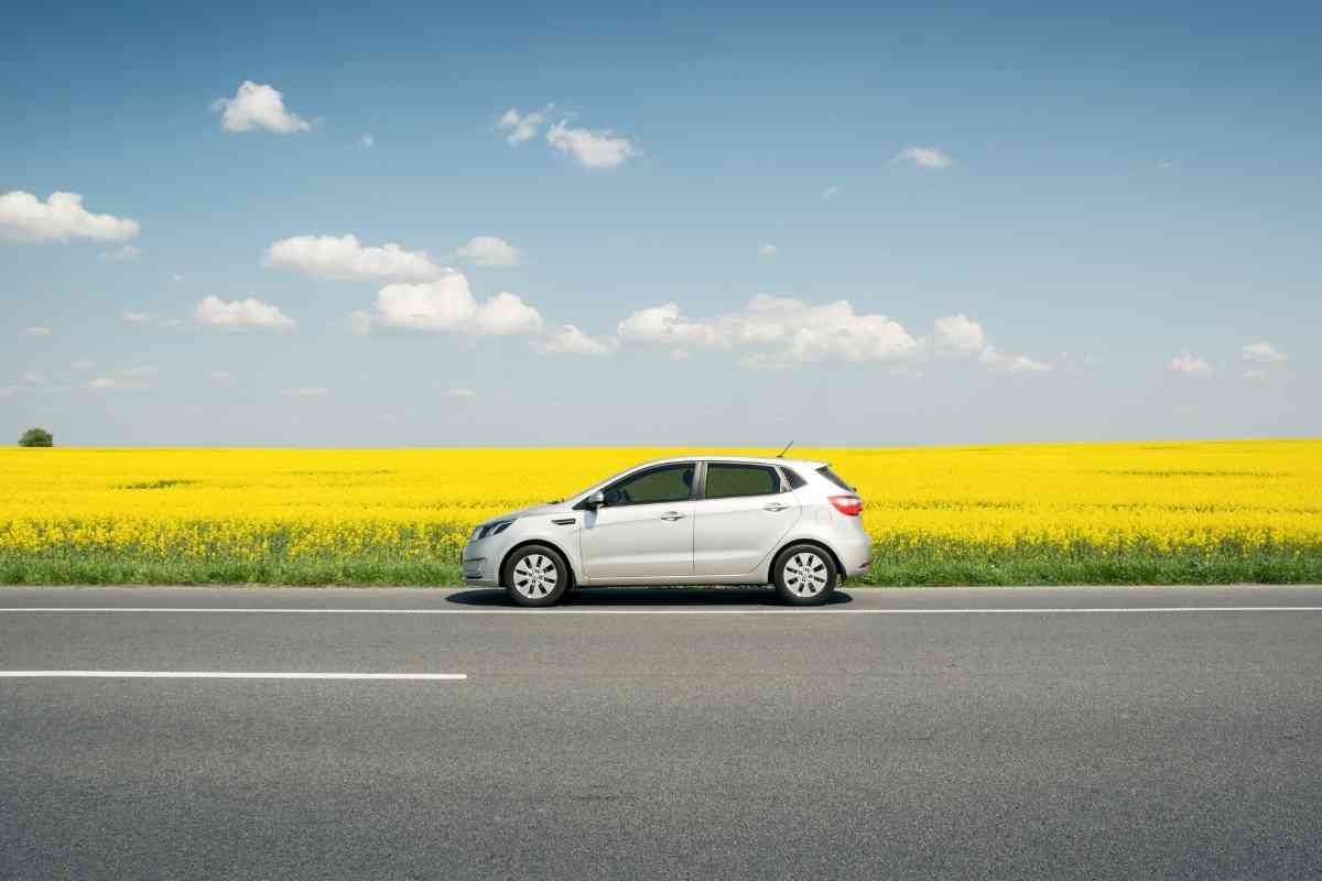 Kia Soul Years To Avoid: the image shows a white Kia Soul against a yellow flower field