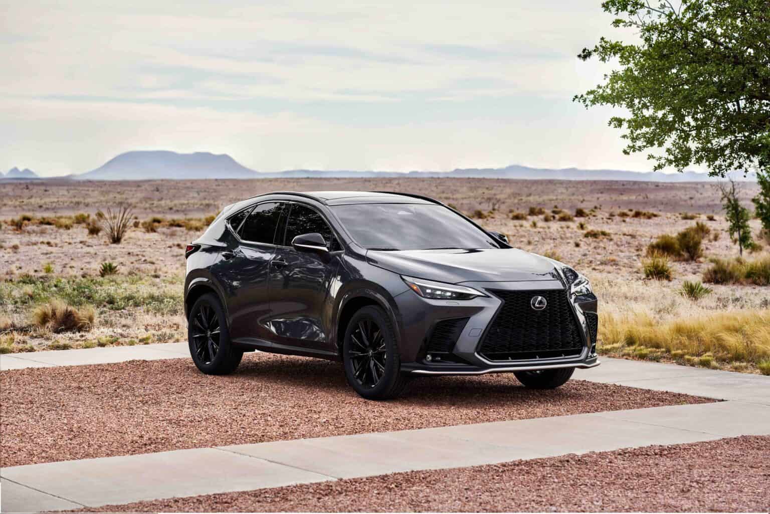 What Are The Best Years For The Lexus NX? - Four Wheel Trends