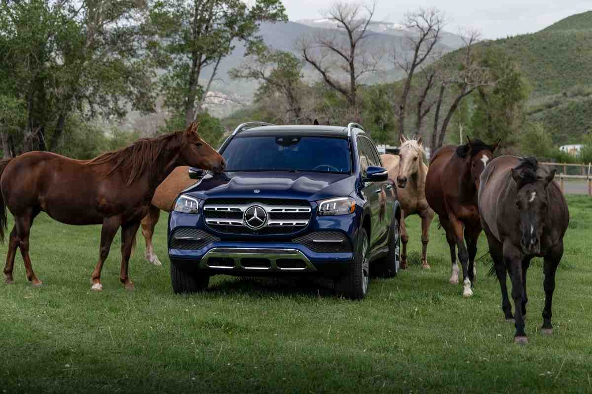 What Are the Best Years for the Mercedes-Benz GL-Class?