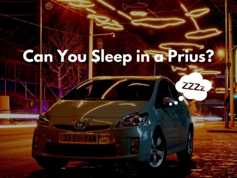 Can You Sleep in a Prius? (With How To Video!)