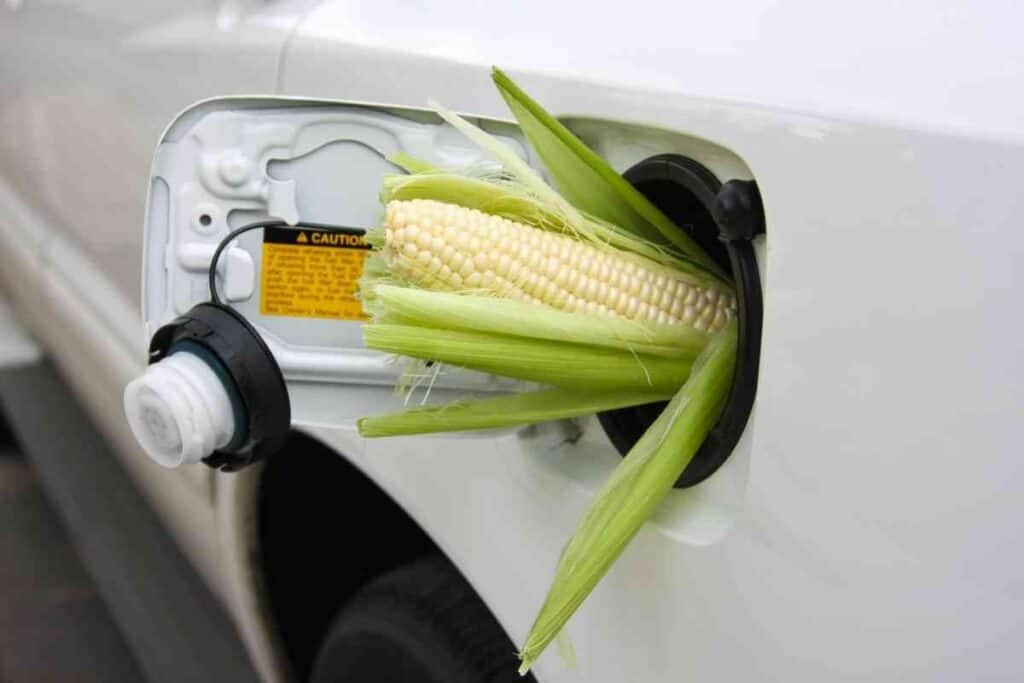 Does Costco Premium Gas Have Ethanol? Four Wheel Trends