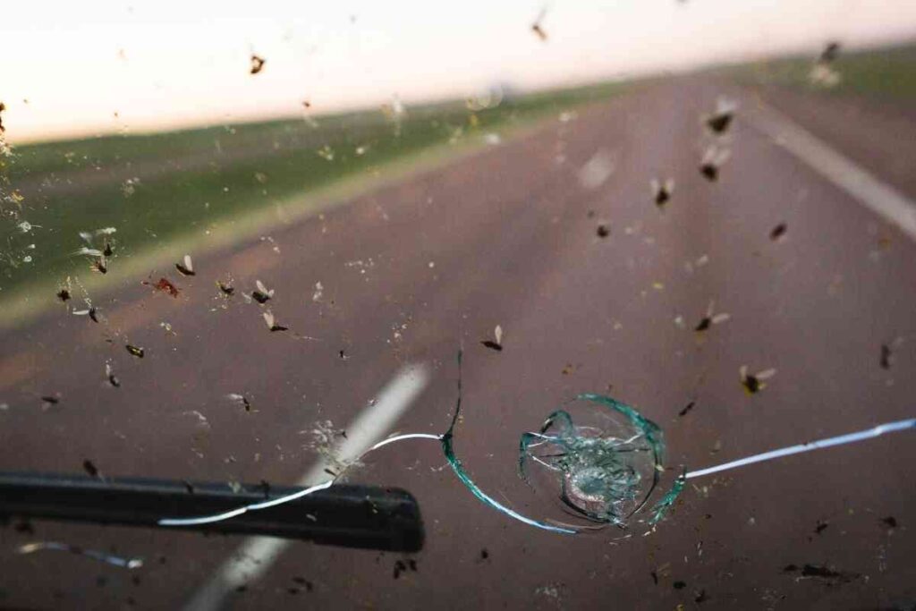 Ticks Windshield 7 Tips For Cleaning Bugs Off A Car Windshield - Four Wheel Trends