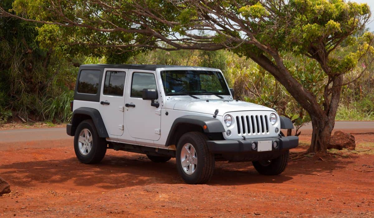 Big jeep under tropical tree in USA on Hawaii Islands