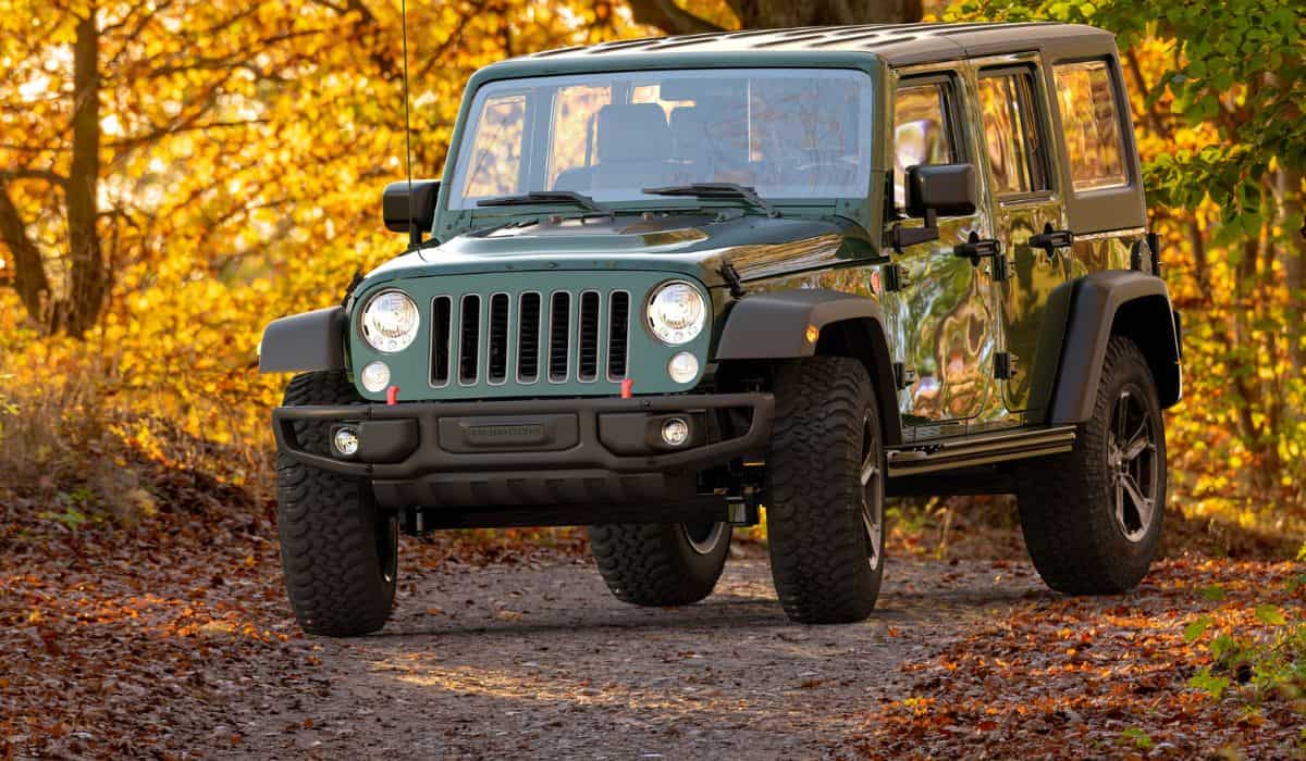 Jeep Wrangler driving a forest road