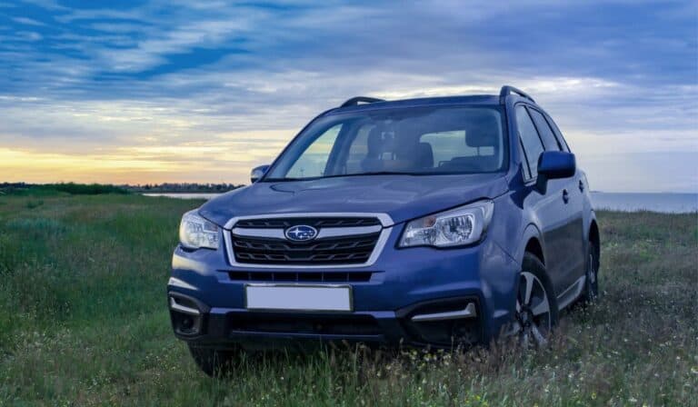 Subaru Forester at flowers field at sunrise near the lake