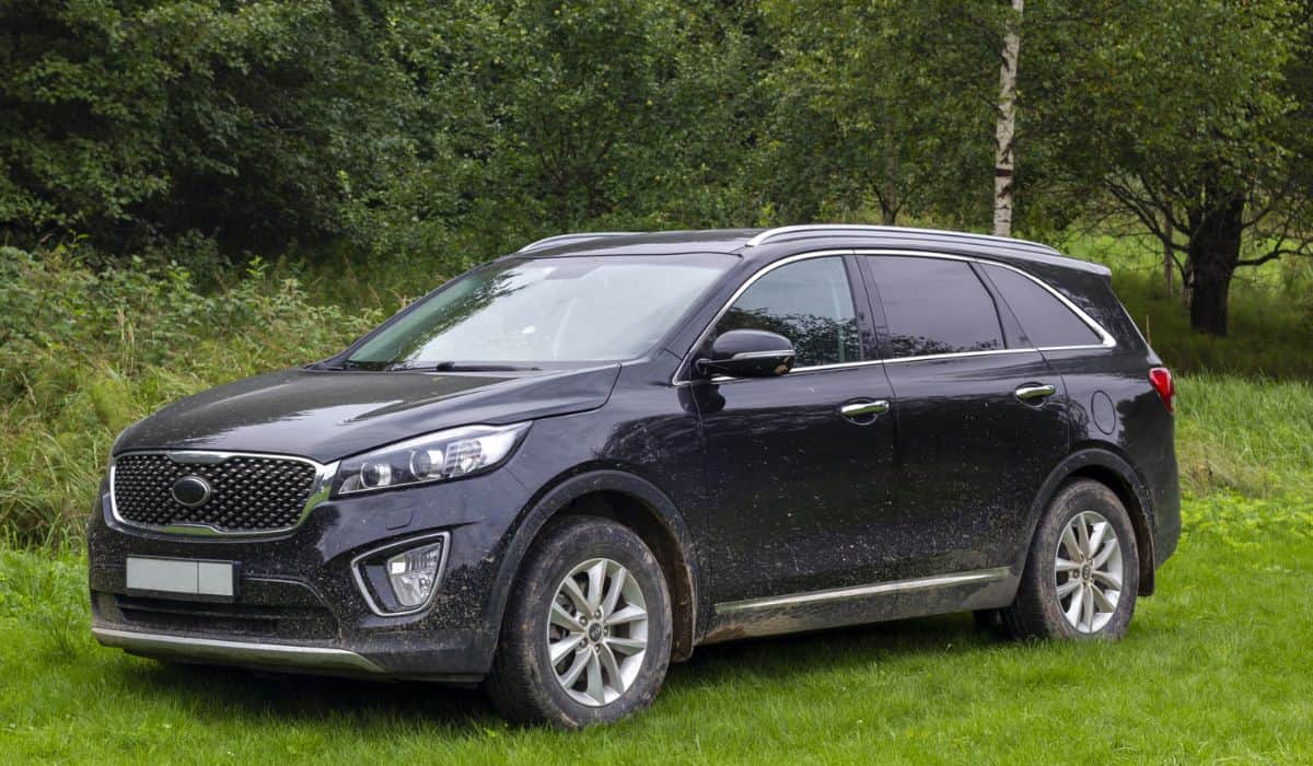 Black car on meadow outdoor with apple tree nature background