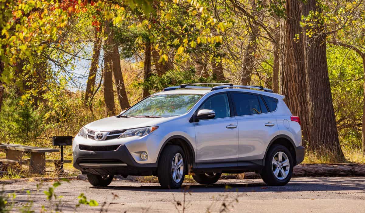 Silver Toyota RAV4 parked in Boiling Springs State Park