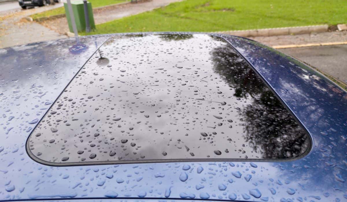 Do Sunroofs Leak And Crack Easily? Four Wheel Trends