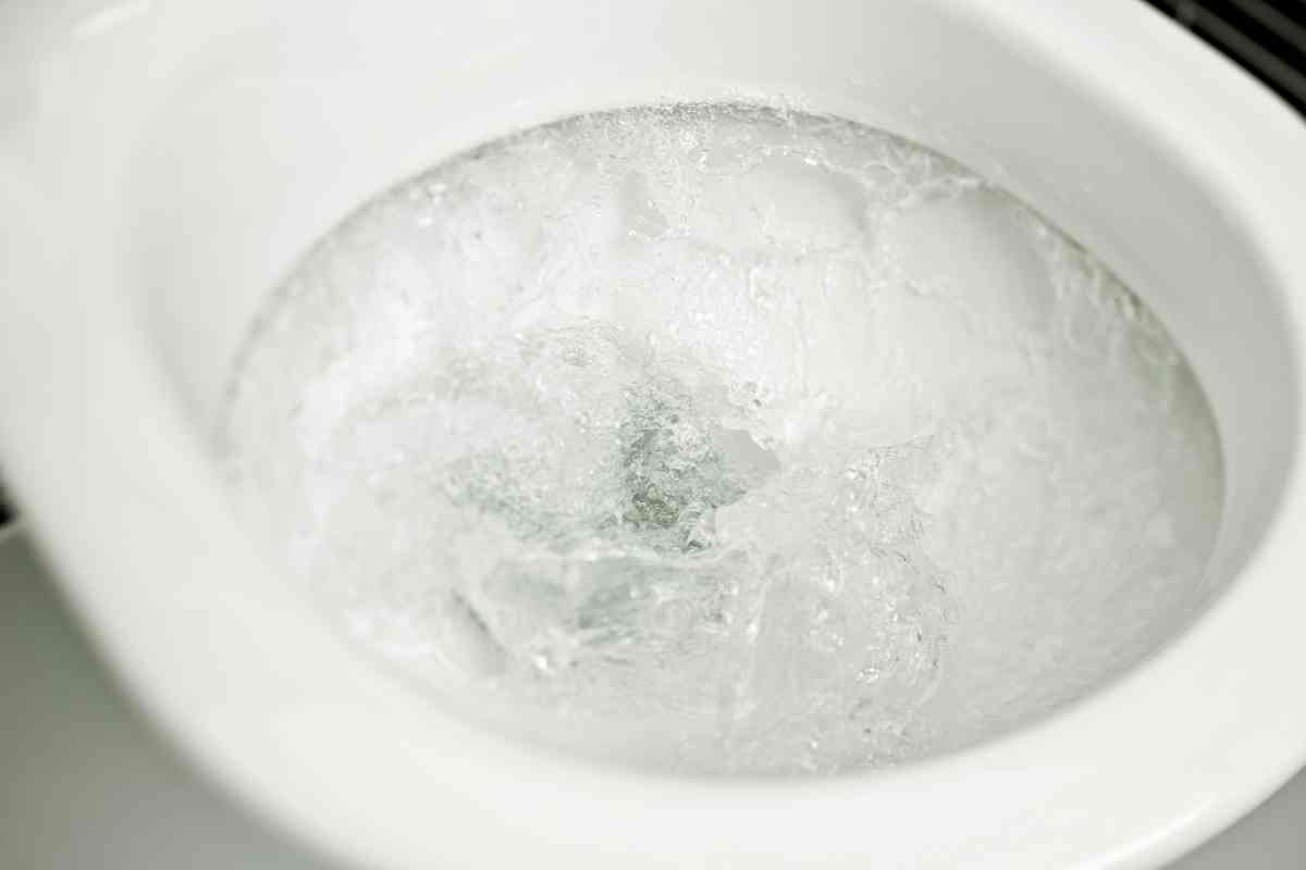 Can You Flush Antifreeze Down The Toilet 1 Can You Flush Antifreeze Down The Toilet? Is It Safe