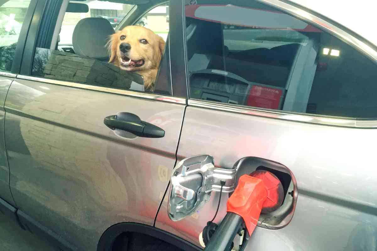 Can You Leave A Car Battery On While Getting Gas 1 Can You Leave A Car Battery On While Getting Gas?