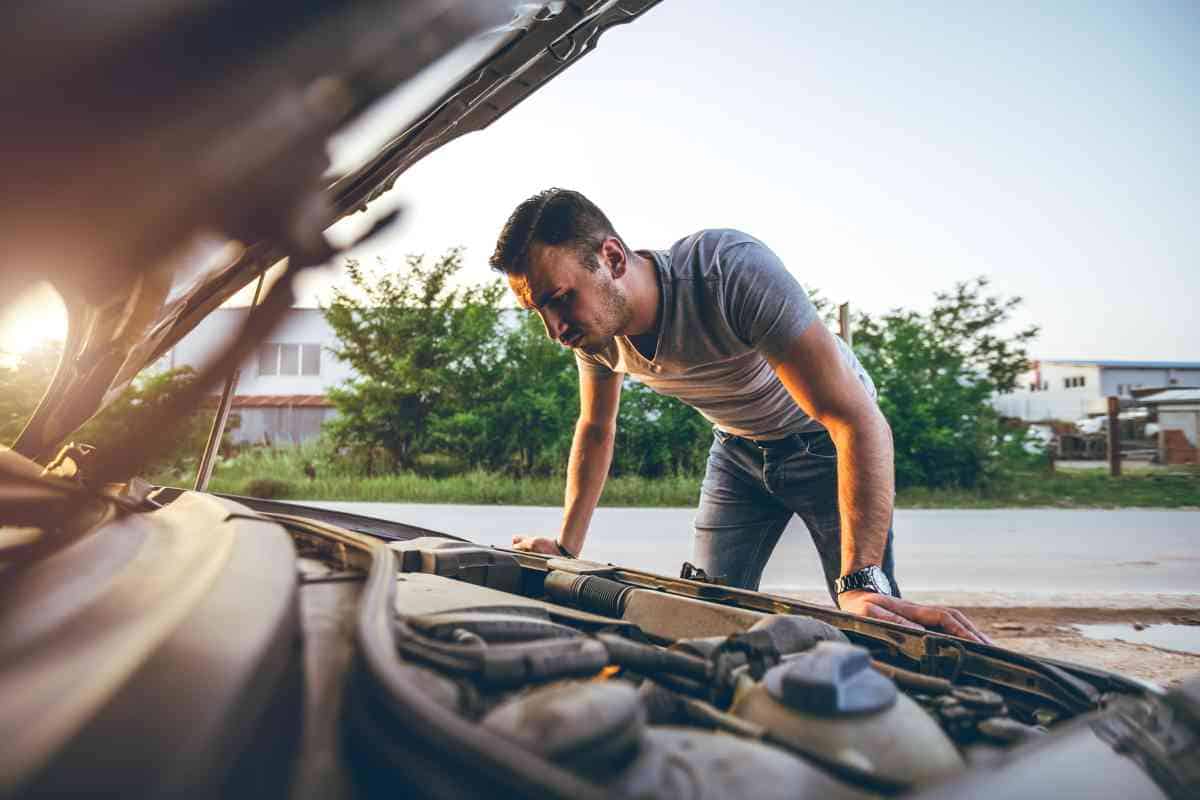 Can you spray peppermint oil on a car engine How to Safely Spray Peppermint Oil On Your Engine To Deter Rodents